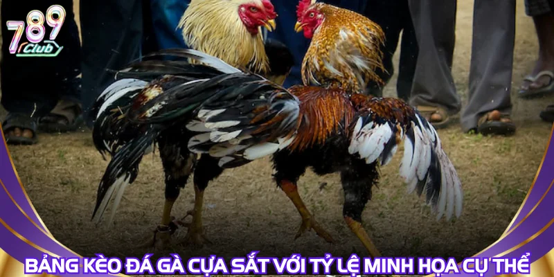 bang-keo-da-ga-cua-sat-voi-ty-le-minh-hoa-cu-the