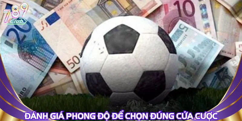 danh-gia-phong-do-de-chon-dung-cua-cuoc