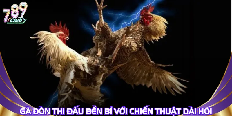 ga-don-thi-dau-ben-bi-voi-chien-thuat-dai-hoi