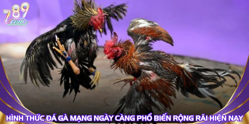 hinh-thuc-da-ga-mang-ngay-cang-pho-bien-rong-rai-hien-nay