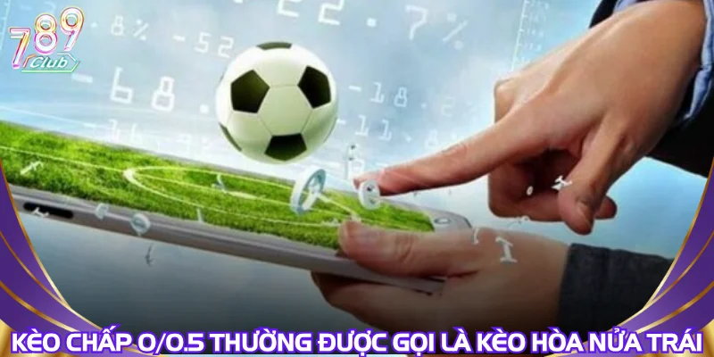 keo-chap-0-0-5-thuong-duoc-goi-la-keo-hoa-nua-trai