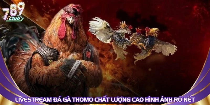 livestream-da-ga-thomo-chat-luong-cao-hinh-anh-ro-net