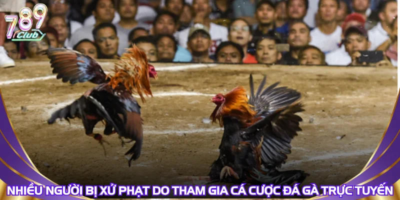 nhieu-nguoi-bi-xu-phat-do-tham-gia-ca-cuoc-da-ga-truc-tuyen