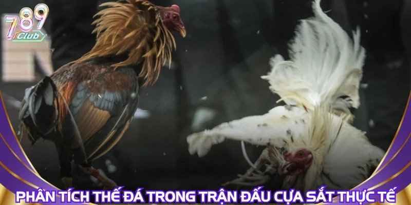 phan-tich-the-da-trong-tran-dau-cua-sat-thuc-te