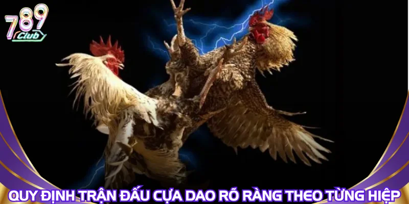 quy-dinh-tran-dau-cua-dao-ro-rang-theo-tung-hiep