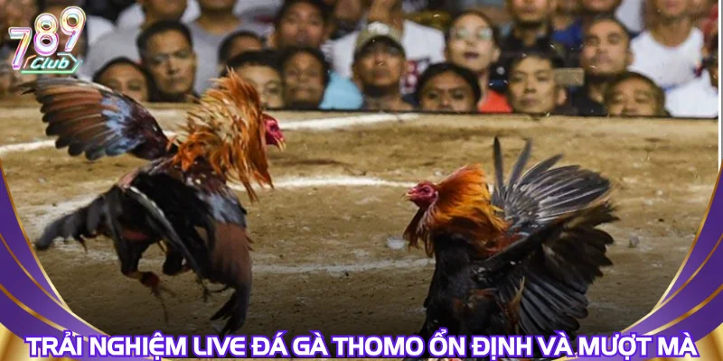 trai-nghiem-live-da-ga-thomo-on-dinh-va-muot-ma