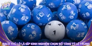 Bạch Thủ Lô Là Gì? Kinh Nghiệm Chọn Số Tăng Tỷ Lệ Trúng