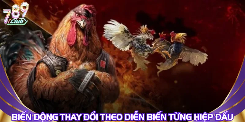 Biến động thay đổi theo diễn biến từng hiệp đấu