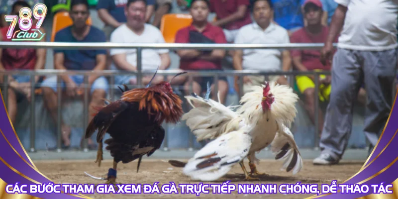 Các bước tham gia xem đá gà trực tiếp nhanh chóng, dễ thao tác