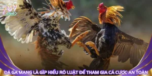 Đá Gà Mạng Là Gì? Hiểu Rõ Luật Để Tham Gia Cá Cược An Toàn