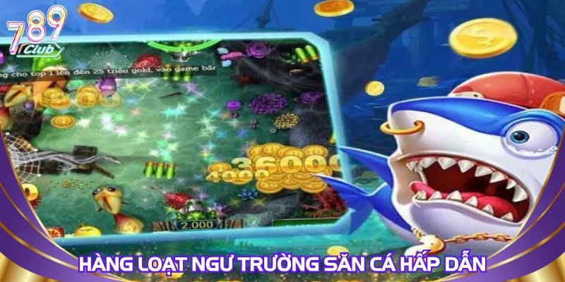 Hàng loạt ngư trường săn cá hấp dẫn