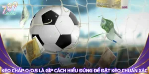Kèo Chấp 0/0.5 Là Gì? Cách Hiểu Đúng Để Đặt Kèo Chuẩn Xác