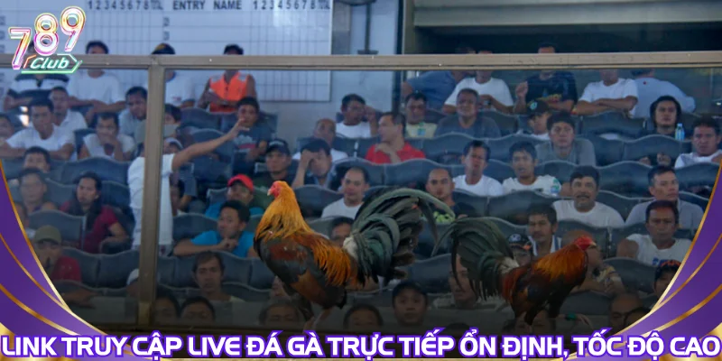 Link truy cập live đá gà trực tiếp ổn định, tốc độ cao