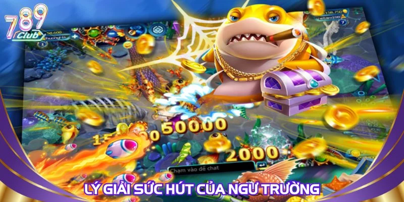 Lý giải sức hút của ngư trường