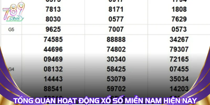 Tổng quan hoạt động xổ số miền nam hiện nay
