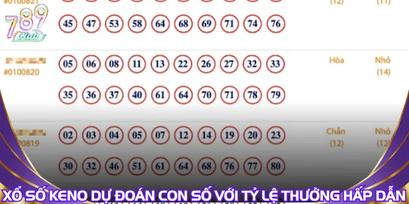 Xổ số keno dự đoán con số với tỷ lệ thưởng hấp dẫn